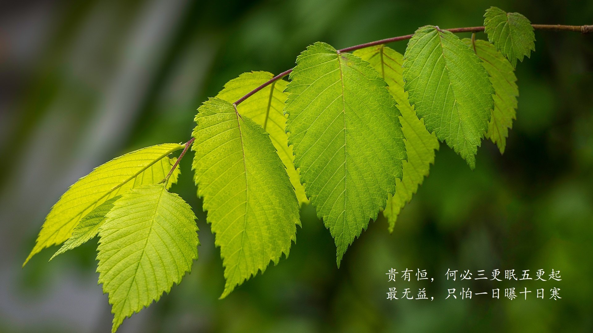 爱游戏下载-图解：台球比赛常用术语与规则详解，台球比赛游戏规则