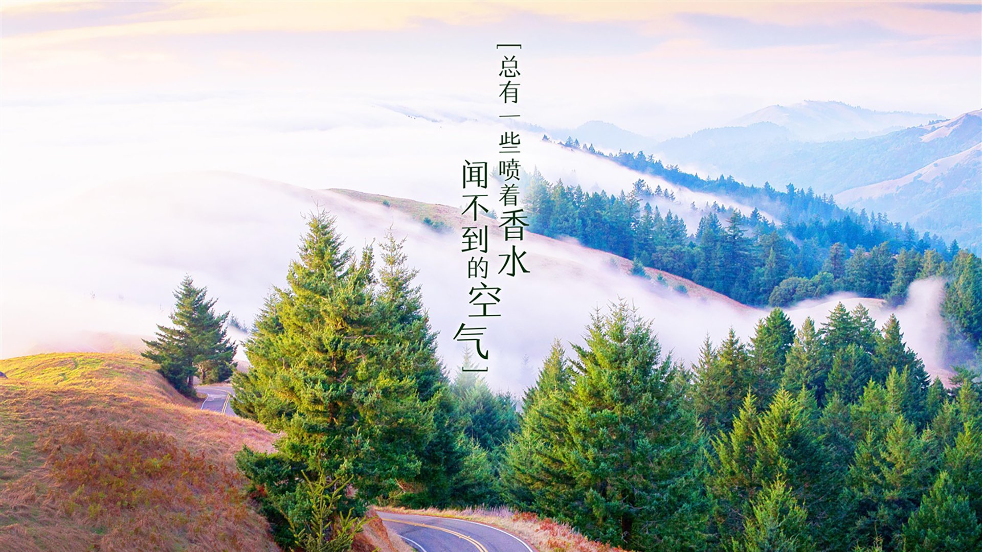 爱游戏娱乐网址-大坂直美重返赛场，表现不俗，大坂直美简介身高