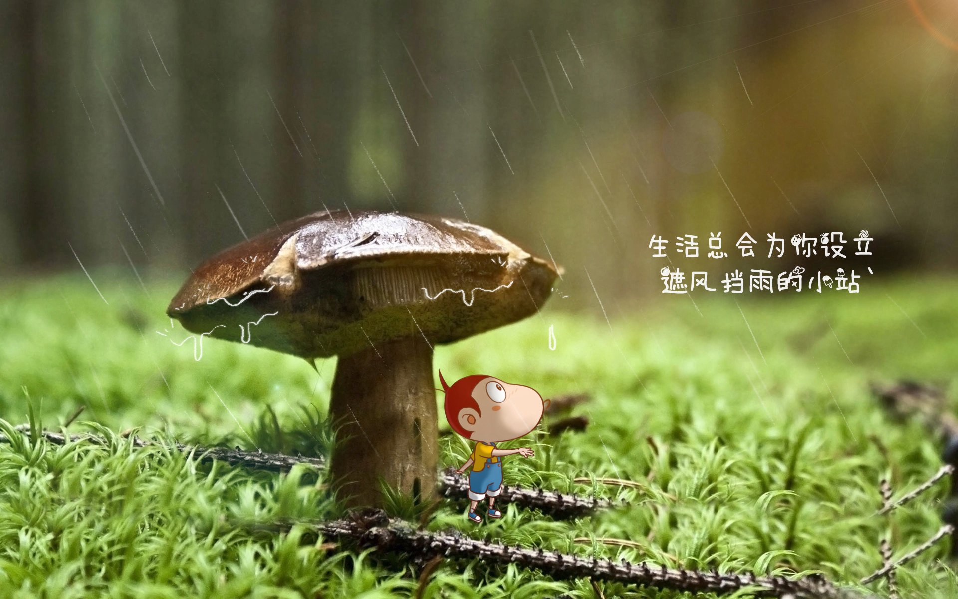爱游戏登录入口-希腊在对塞尔维亚的较量中力克对手，希腊到塞尔维亚