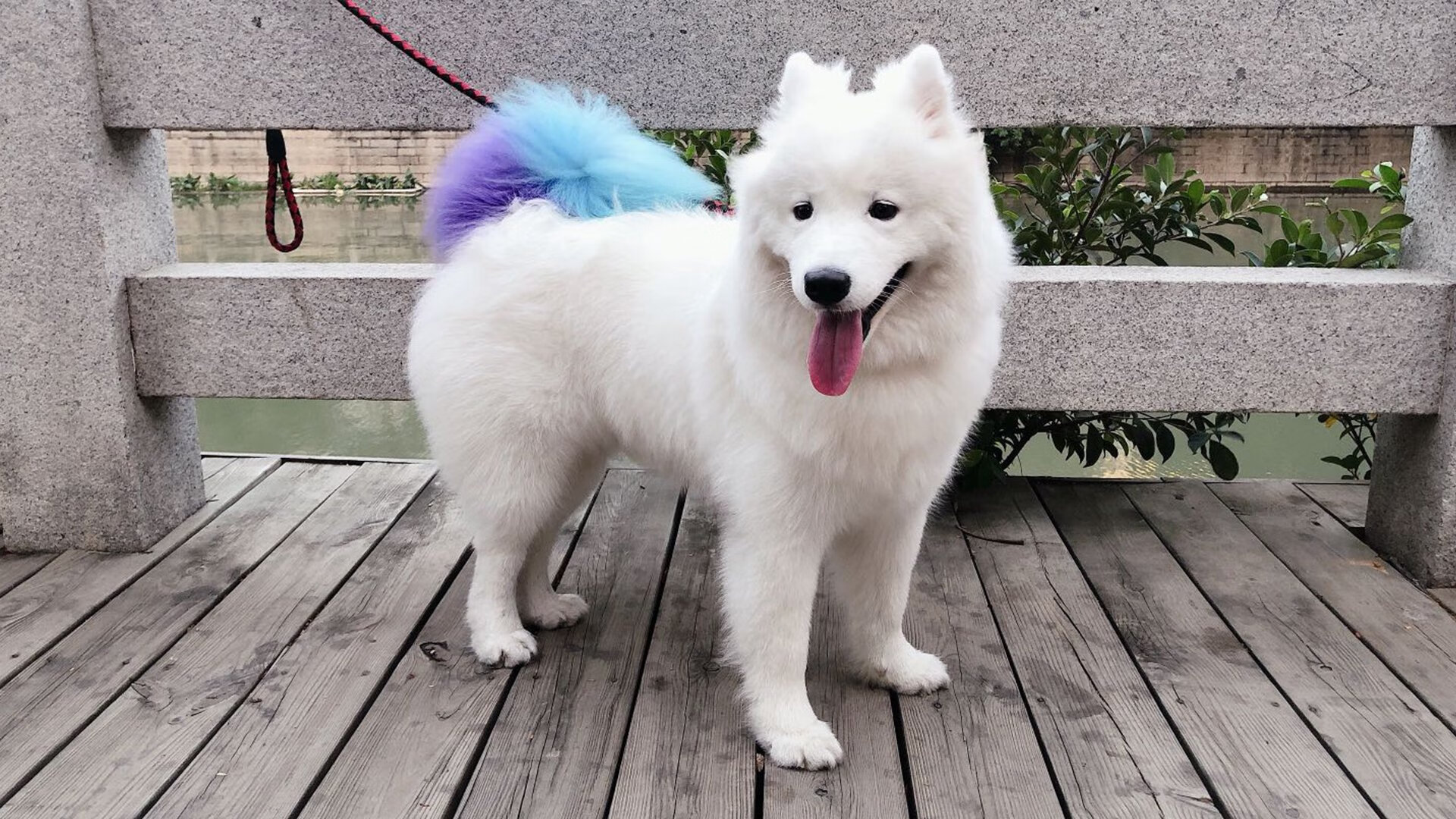 爱游戏体育APP下载-英国队冲线瞬间点燃全场气氛,英国队比赛