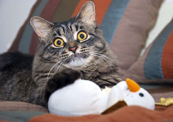 爱游戏下载-西甲超级战将:技能展示令人叹为观止,西甲 超级杯