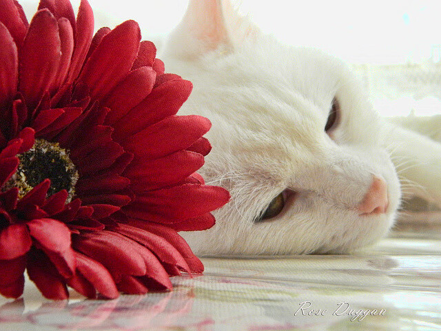 爱游戏体育官方网站-中国男篮总结失利经验 聚焦防守细节，中国男篮状况